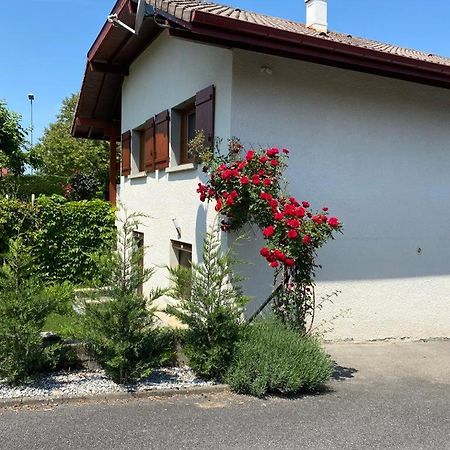 Chez Patrick Et Dominique Apartman Saint-Pierre-en-Faucigny Kültér fotó